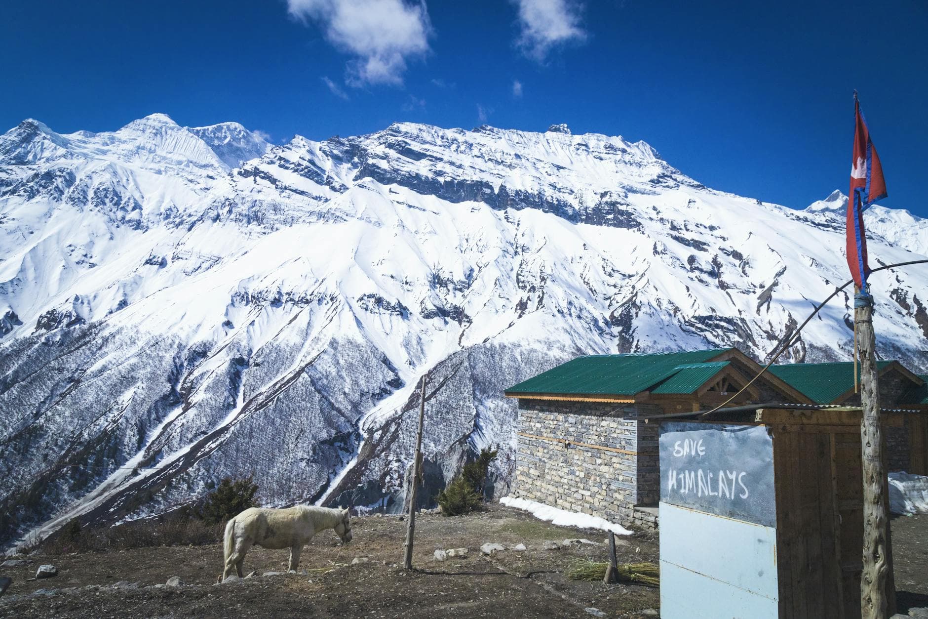 Sherpa Horseshoe Homestay 1