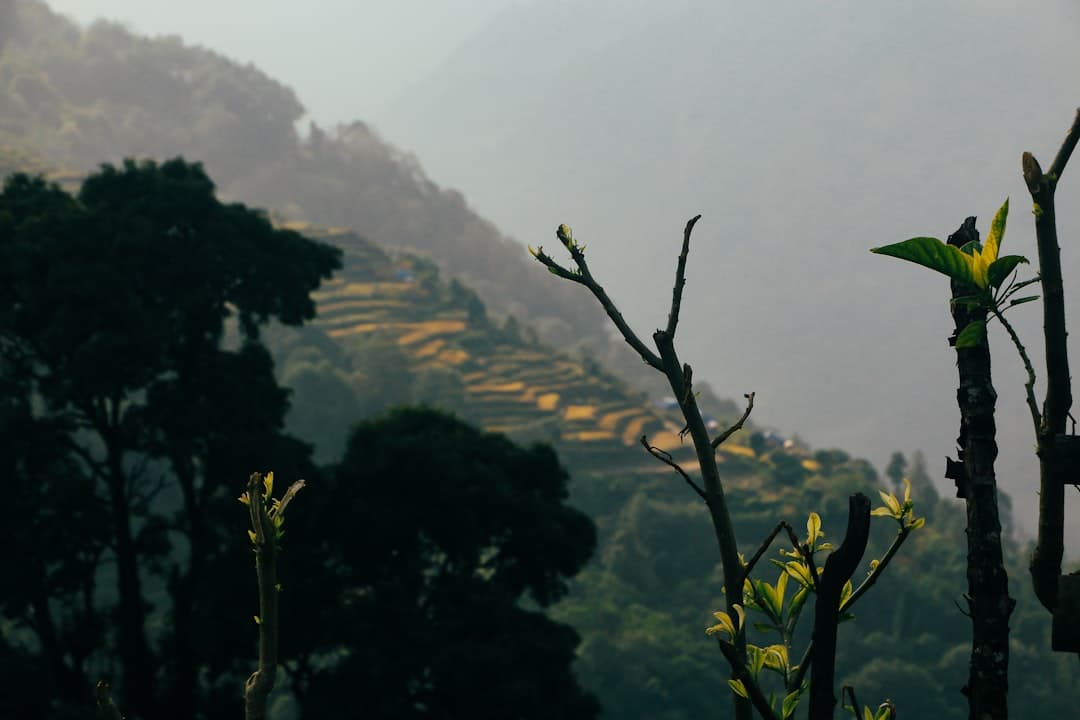 Lamjung Valley Lookout 1