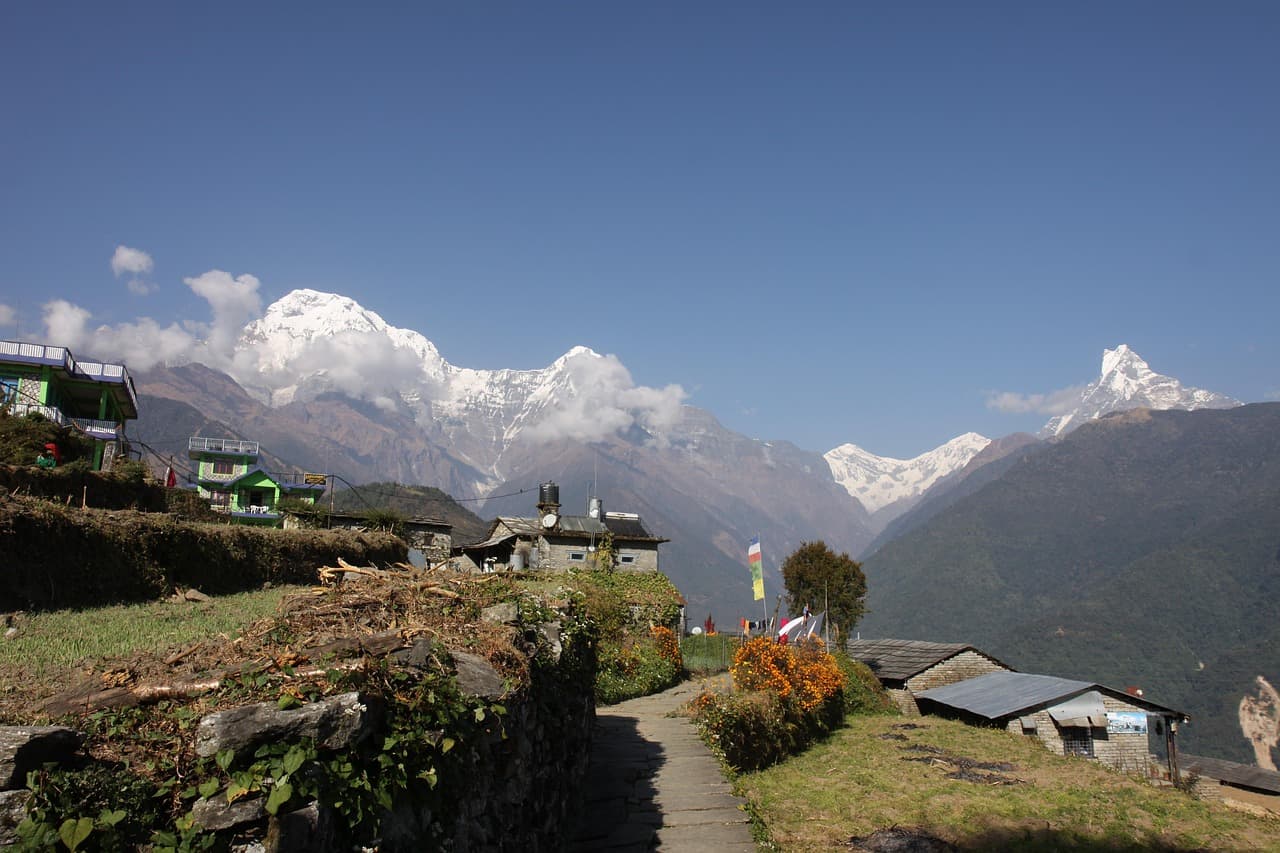 Fikkal Tea Garden House 2