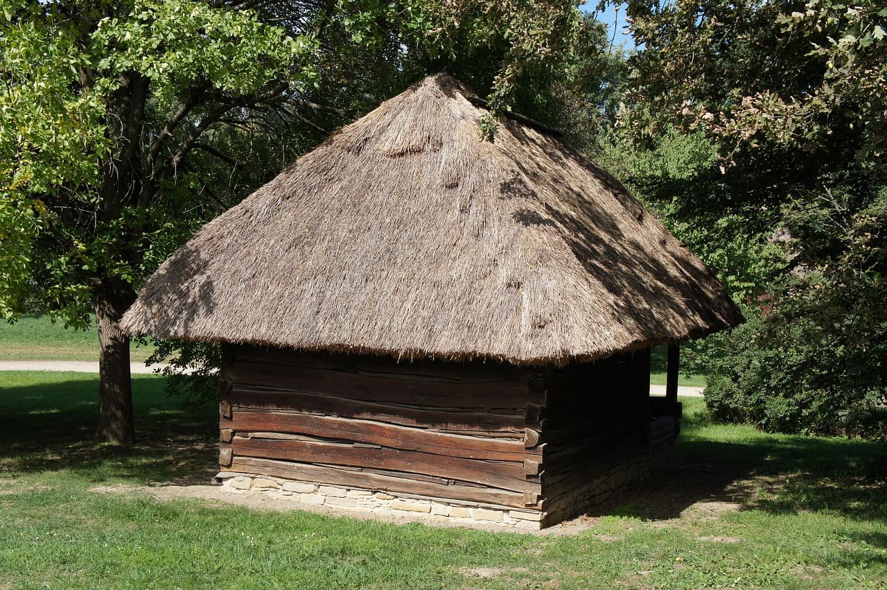 Tharu Heritage Longhouse Stay 1
