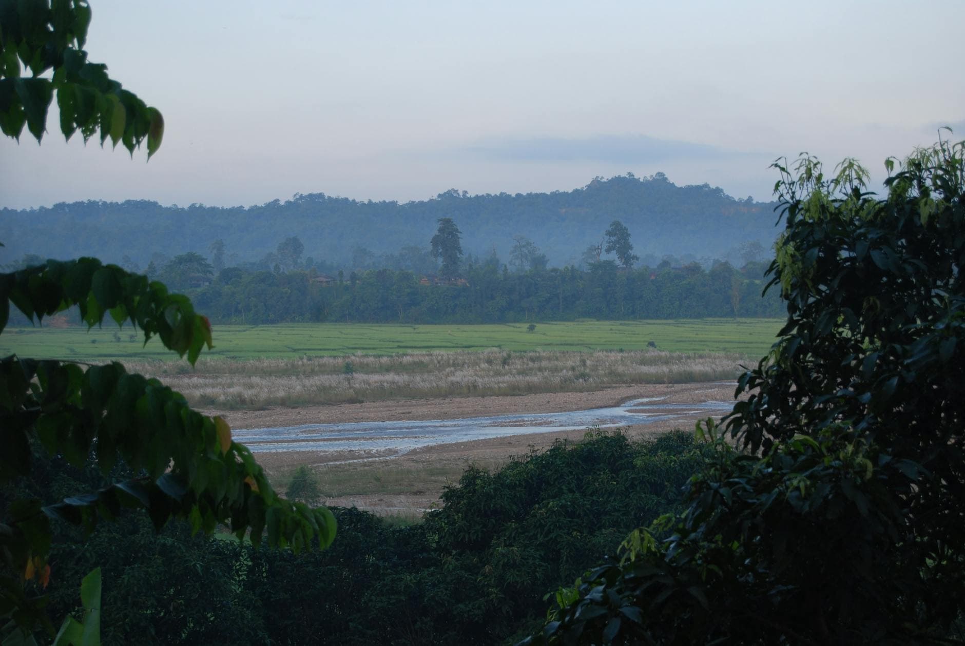 Gharial Conservation River Stay 1