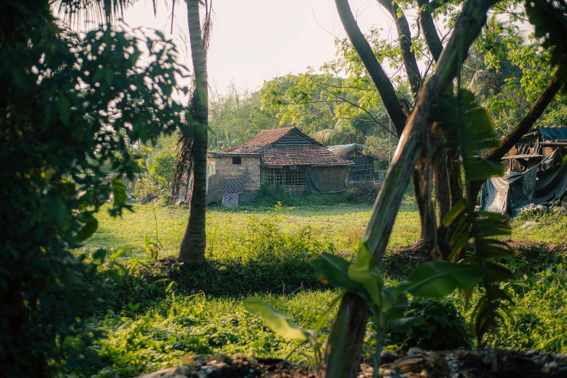 Machan Treetop Nature Stay 2