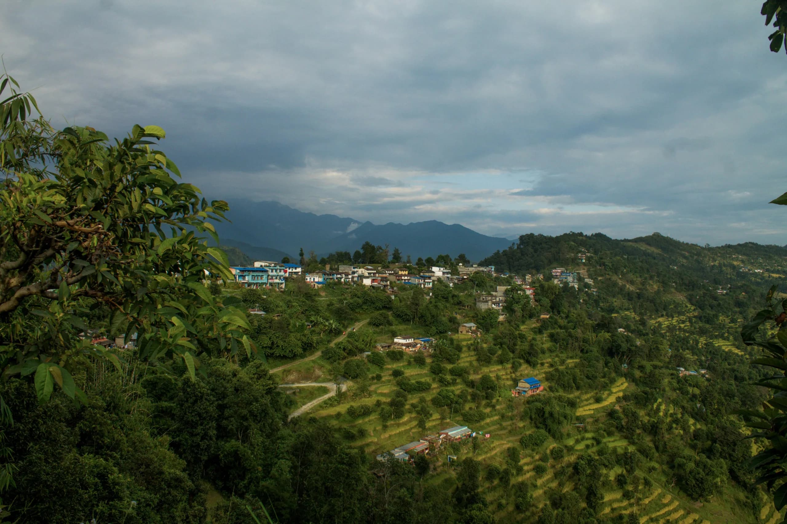 Tamakoshi Gorge Homestay 5
