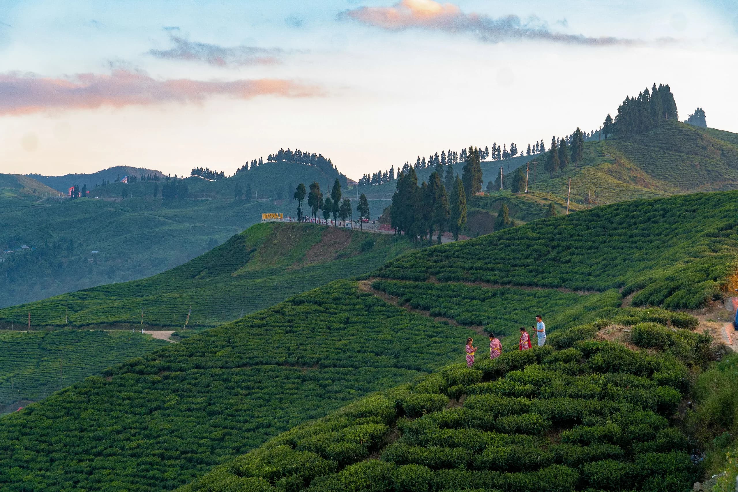 Kanyam & Ilam