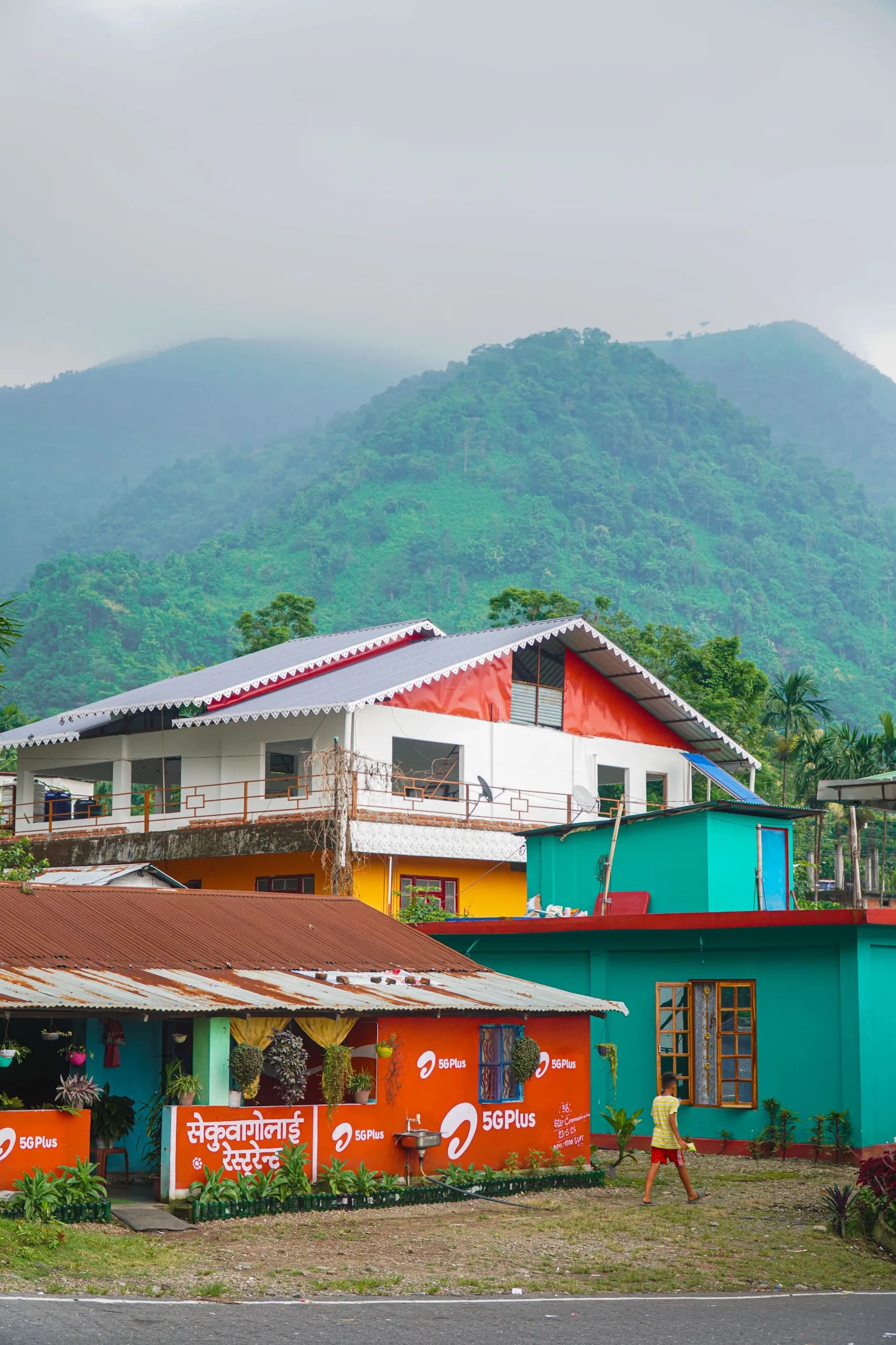 Ilam Cardamom and Honey Farm 4