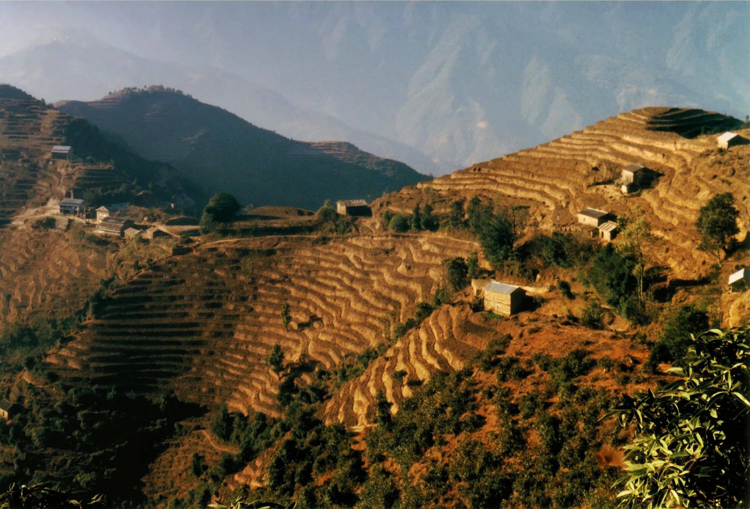 Kanyam Tea Garden Sunrise House 1