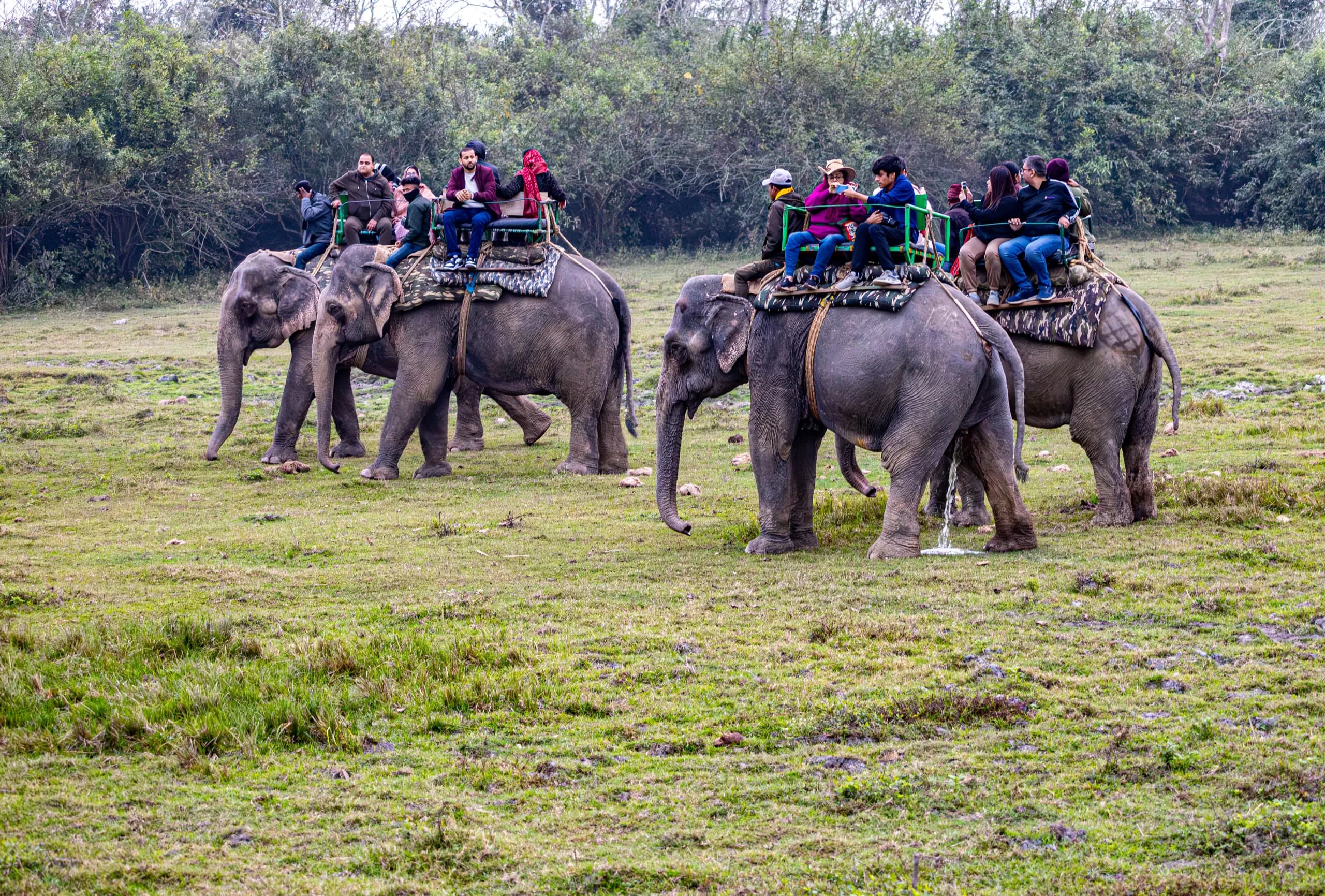Bardia Tiger Country Camp 3