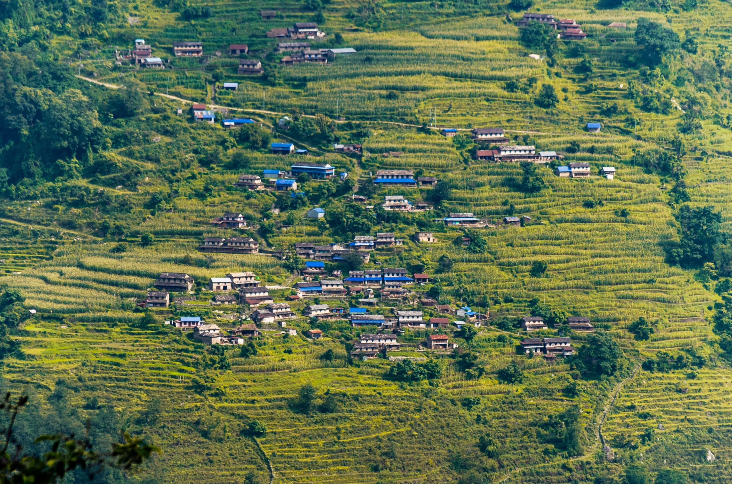 Traditional Gurung Thatch Cottage 3