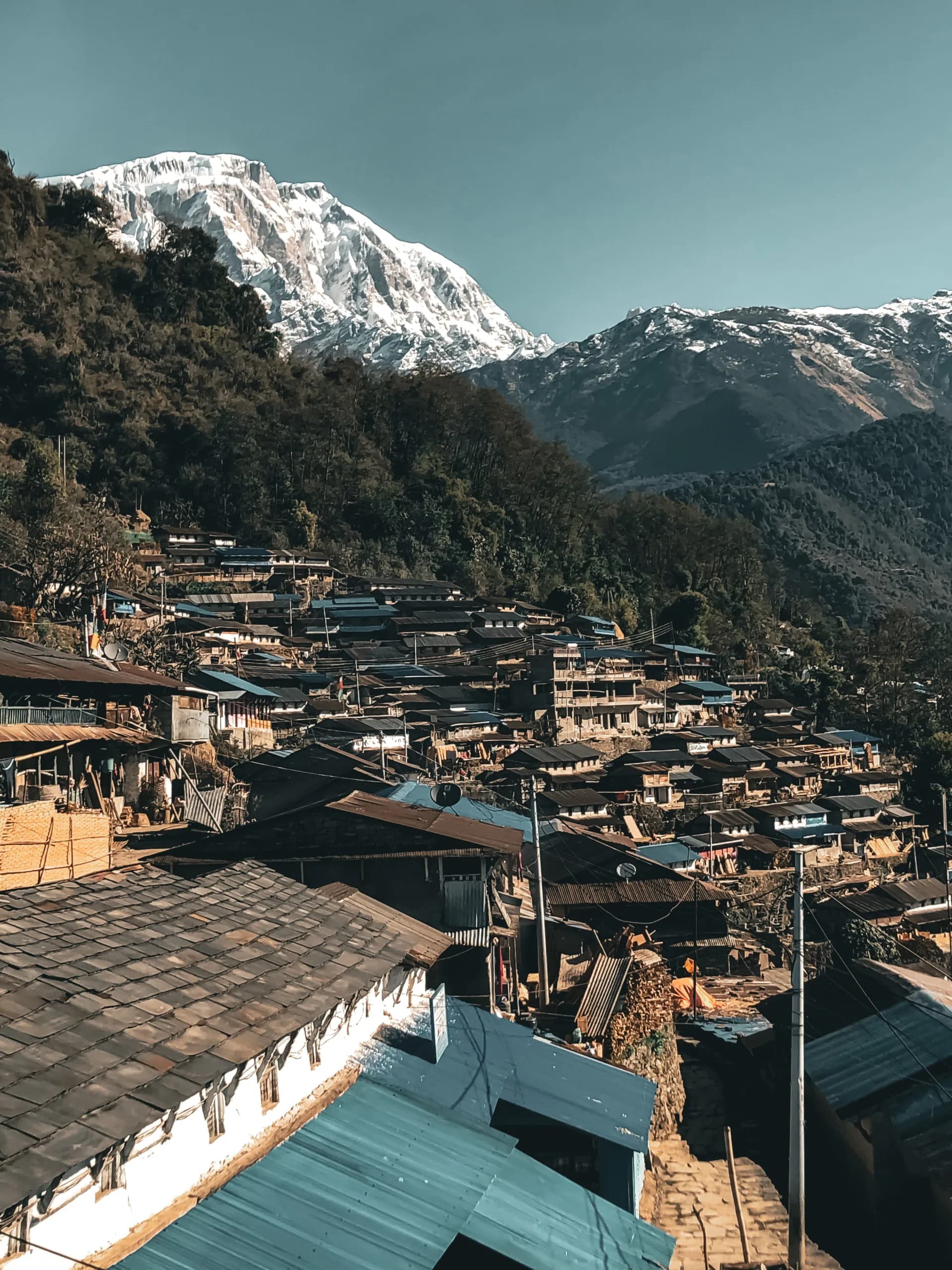 Modi Khola Forest Home 2