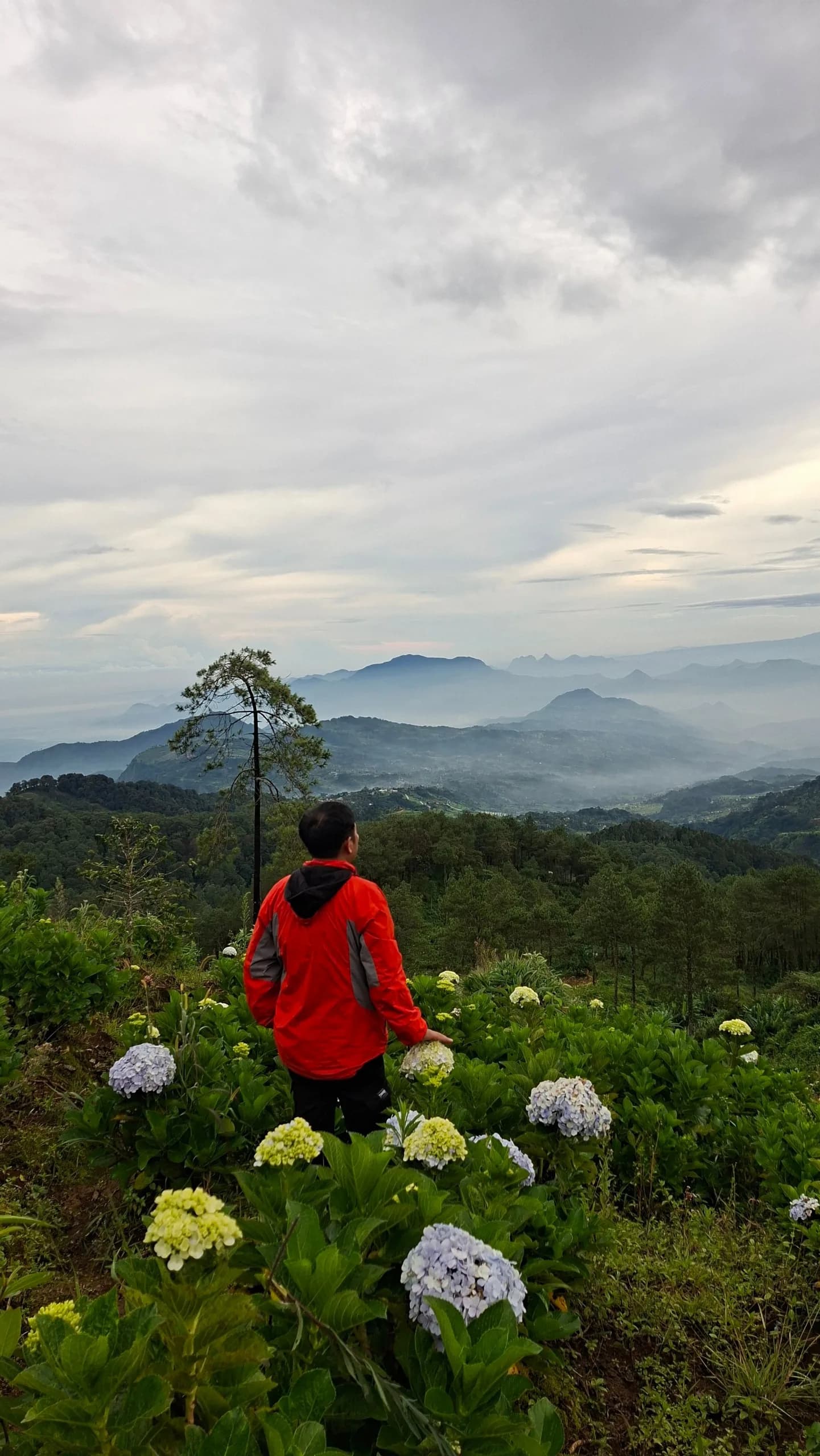 Antu Hill Kanchenjunga View House 2
