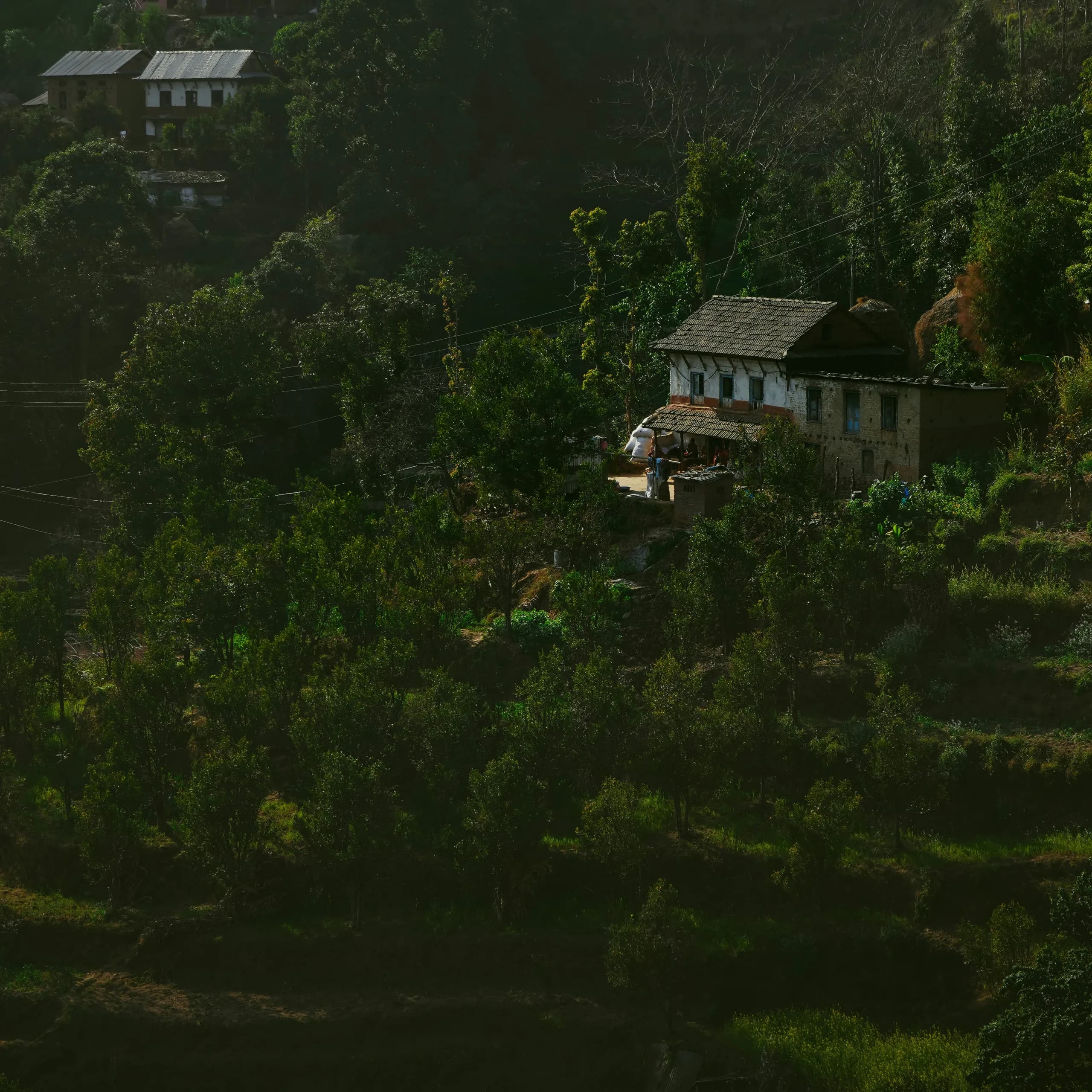 Antu Hill Kanchenjunga View House 3